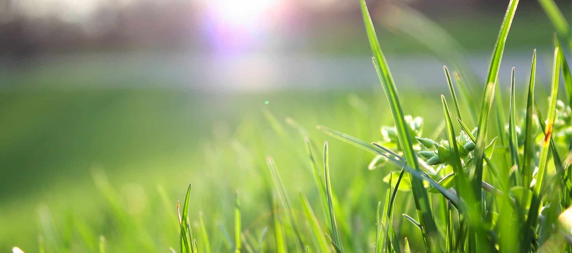 common irrigation system problems