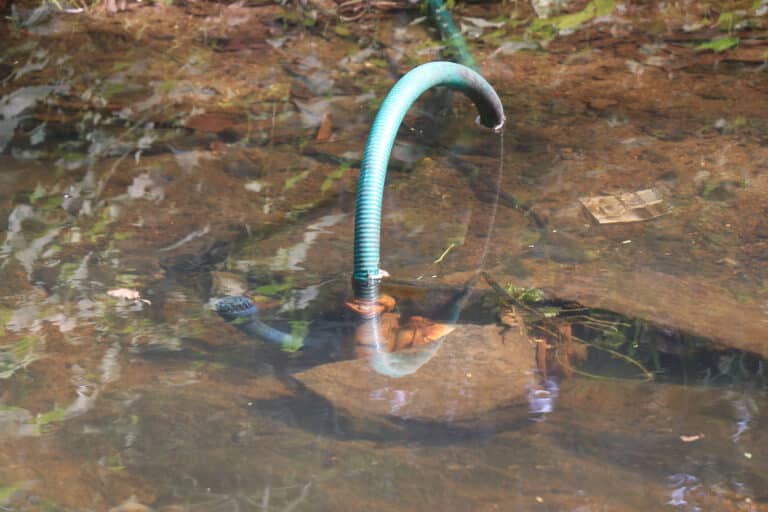 Pond water irrigation problems