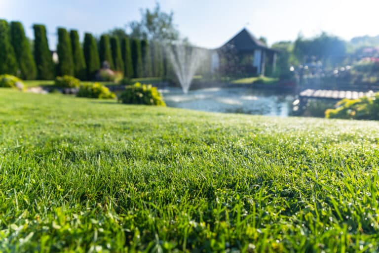 irrigation system property value