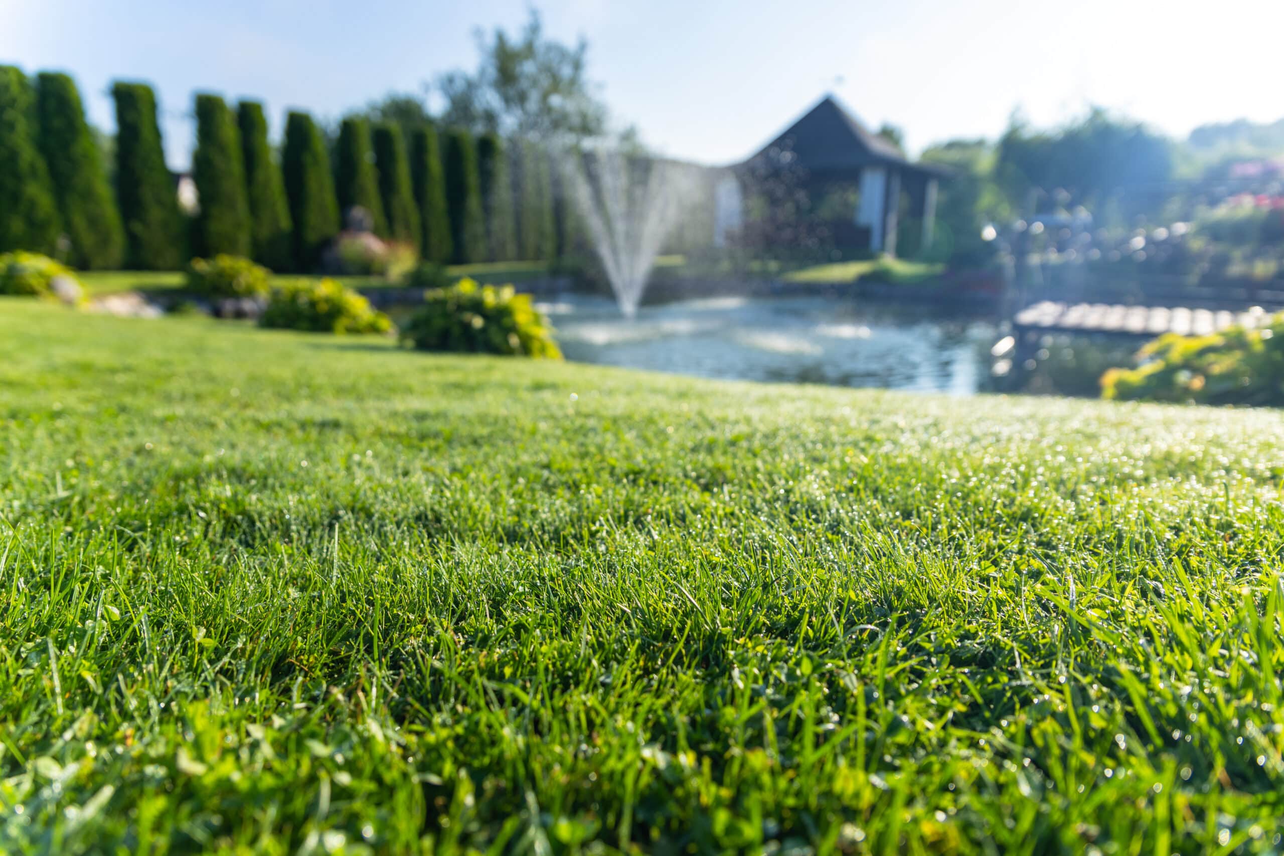 irrigation system property value