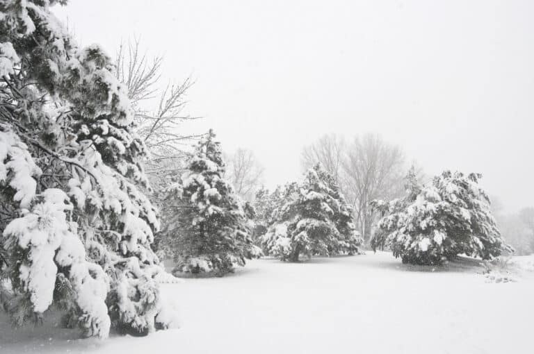 Missed sprinkler winterization