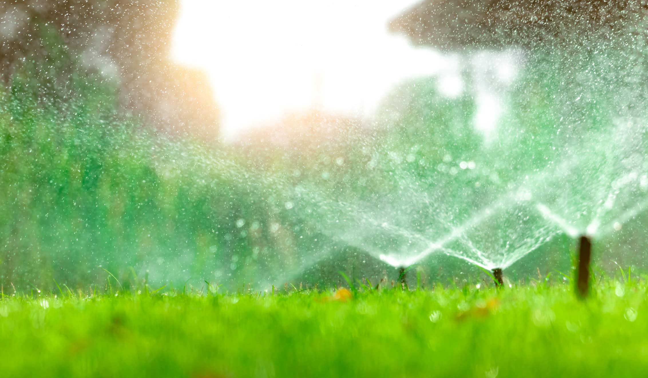 irrigation system smart controller