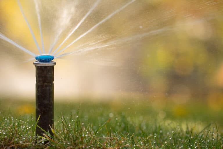 spring startup for commercial irrigation systems: what to know