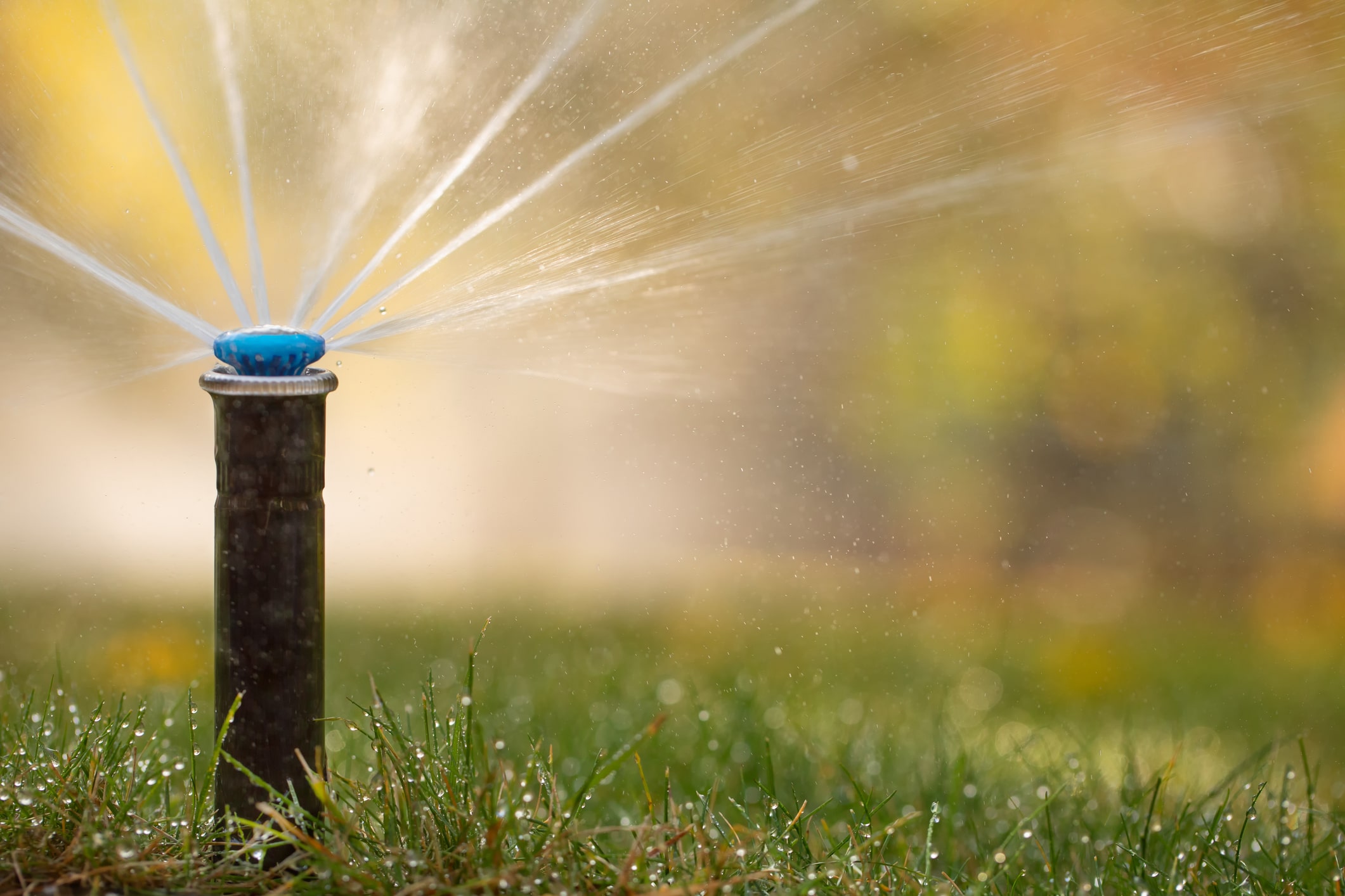 spring startup for commercial irrigation systems: what to know