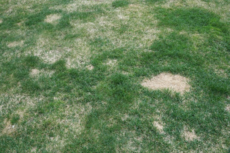 commercial irrigation system upgrade