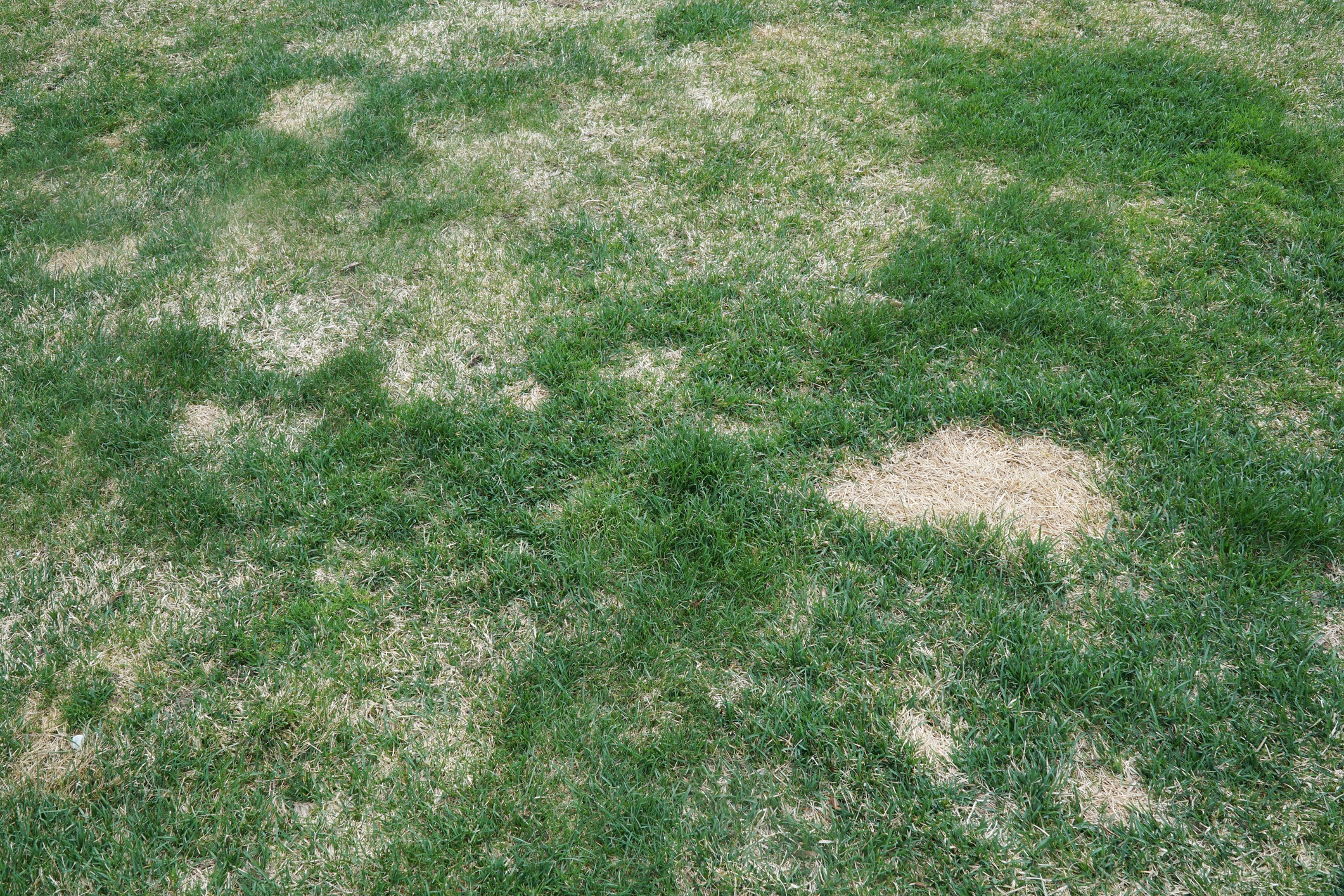commercial irrigation system upgrade