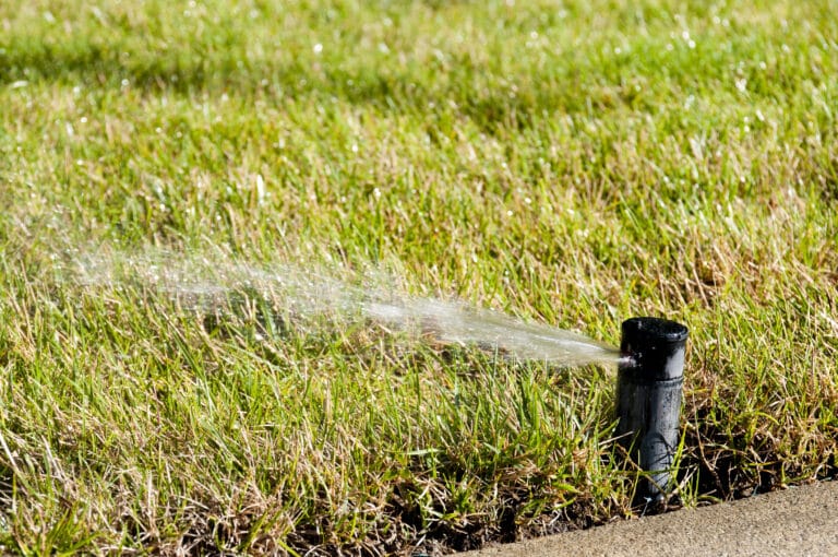 Why a Mid-Season Irrigation Inspection Can Save You Money in West Michigan