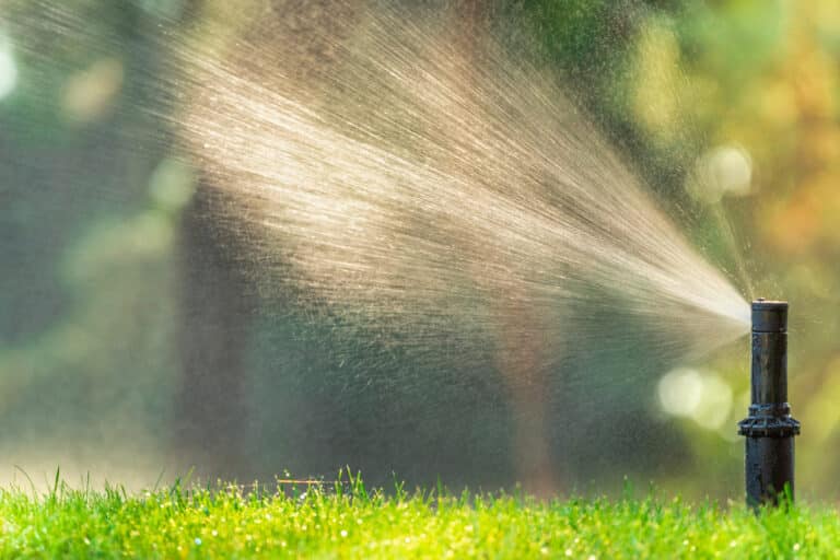 sprinkler heads need adjustment
