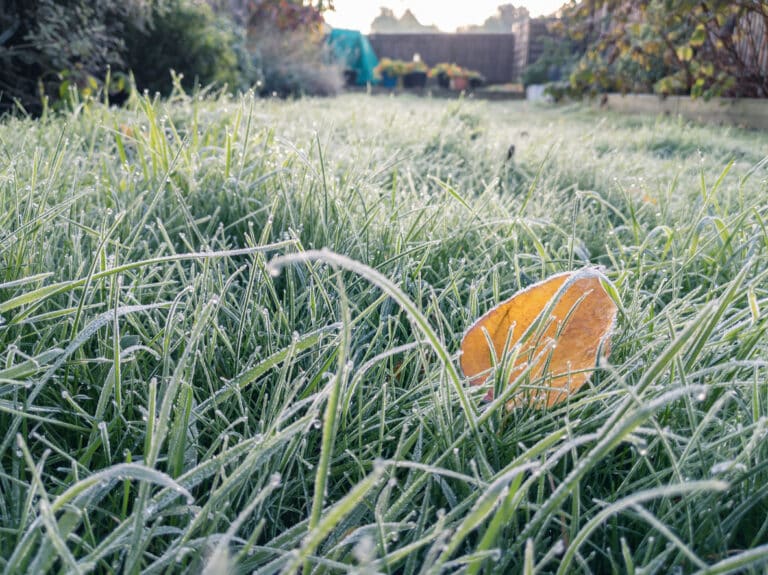 when to schedule sprinkler winterization in West Michigan