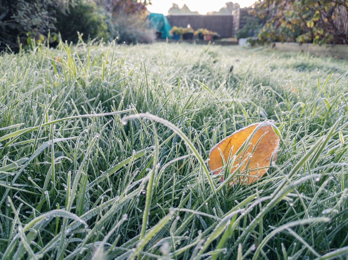 when to schedule sprinkler winterization in West Michigan