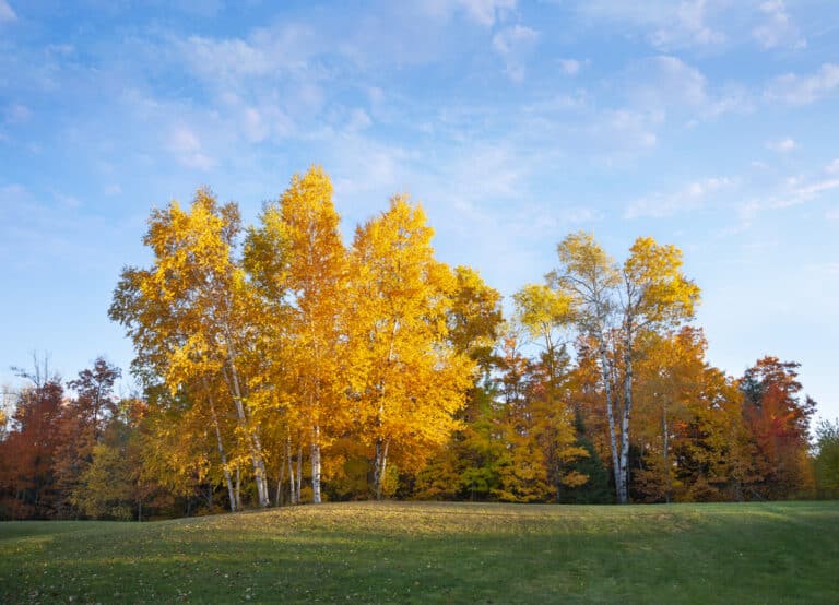Michigan's four seasons irrigation maintenance