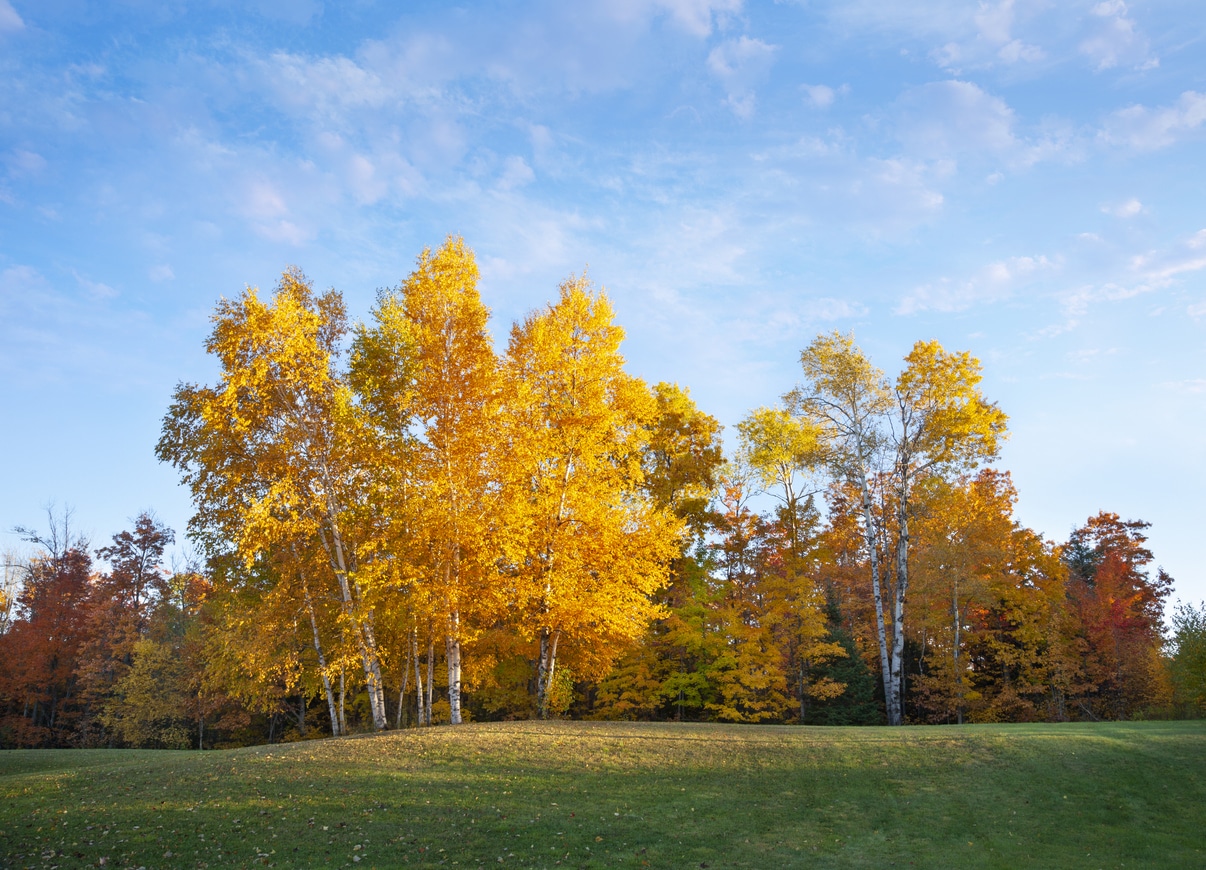 Michigan's four seasons irrigation maintenance